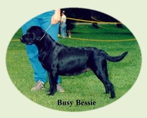 Bessie